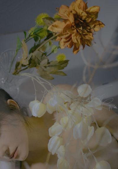 喜剧片蜜柚视频在线观看完整版_超清动漫在线观看