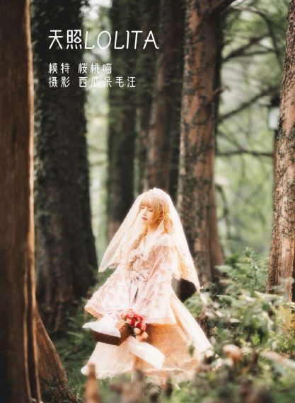 毛片入口在线观看_720高清在线观看